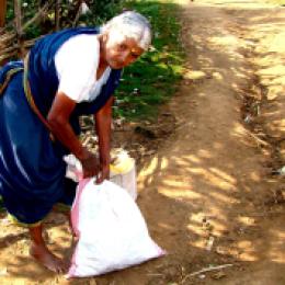 Maramma buys the vegetables in Sathyamangalam and sells in Gadyashala